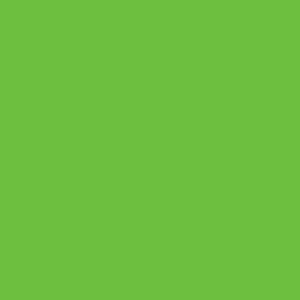 Createx Acrylic Colors Pearl Lime Green, Gallon