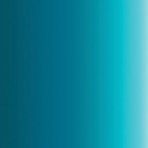 Createx Airbrush Colors Opaque Black, Gallon