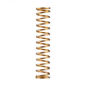 Air Valve Spring