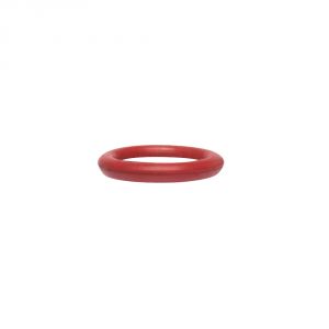 Air Valve O-Ring